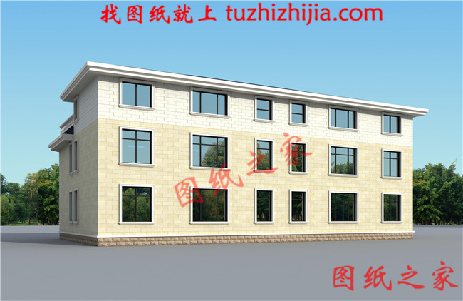 农村二层半双拼别墅设计图,客厅中空,带大露台