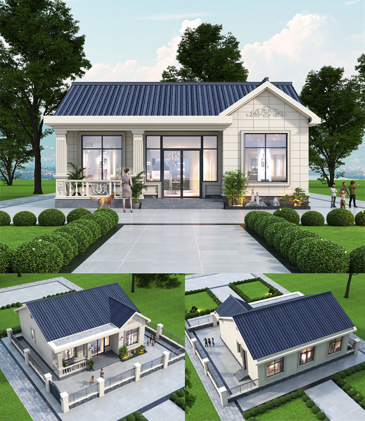 一层农村自建房设计图1